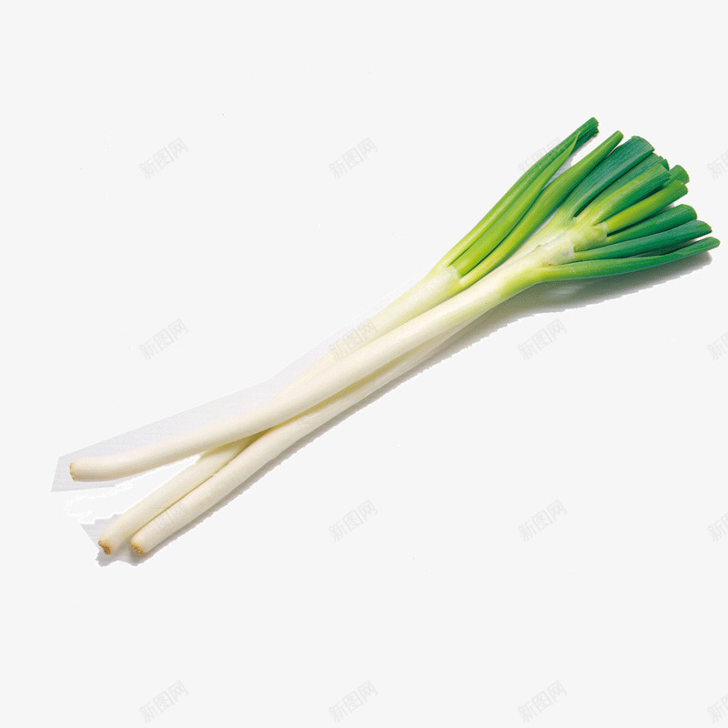 蔬菜葱png免抠素材_新图网 https://ixintu.com 天然 有机 绿色 葱 蔬菜