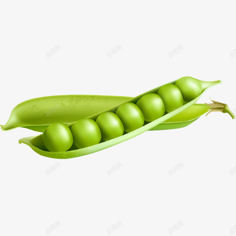 蔬菜厨房食材png免抠素材_新图网 https://ixintu.com 厨房食材 美食 蔬菜 豆子 青豆 食物