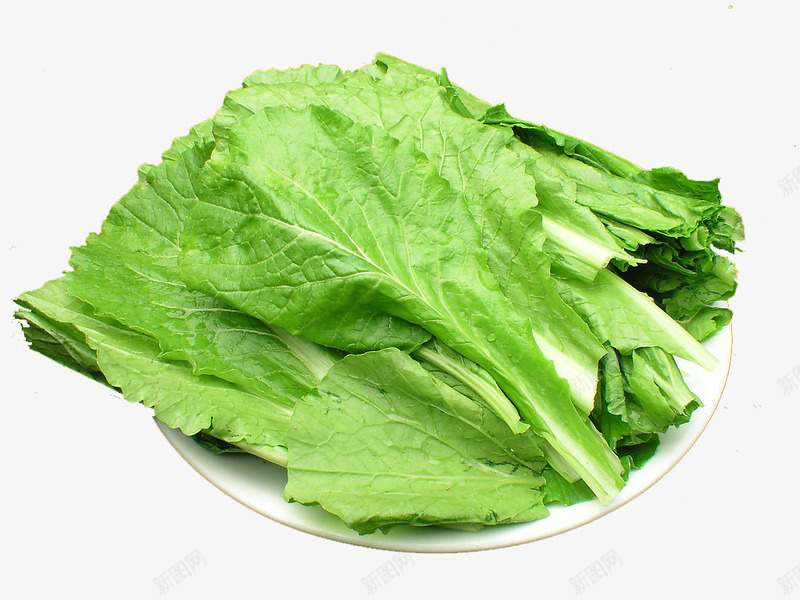小白菜食材png免抠素材_新图网 https://ixintu.com 原料 田园 盘子 素材 蔬菜 食物 食物原料 餐饮美食