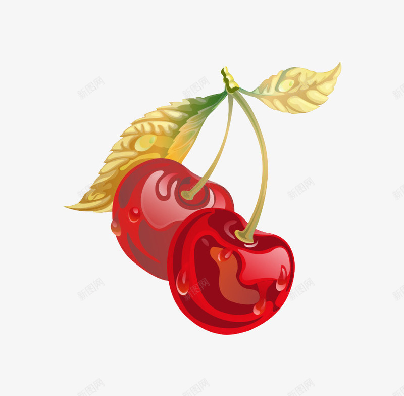 卡通逼真樱桃png免抠素材_新图网 https://ixintu.com 樱桃 水果 补血 车厘子