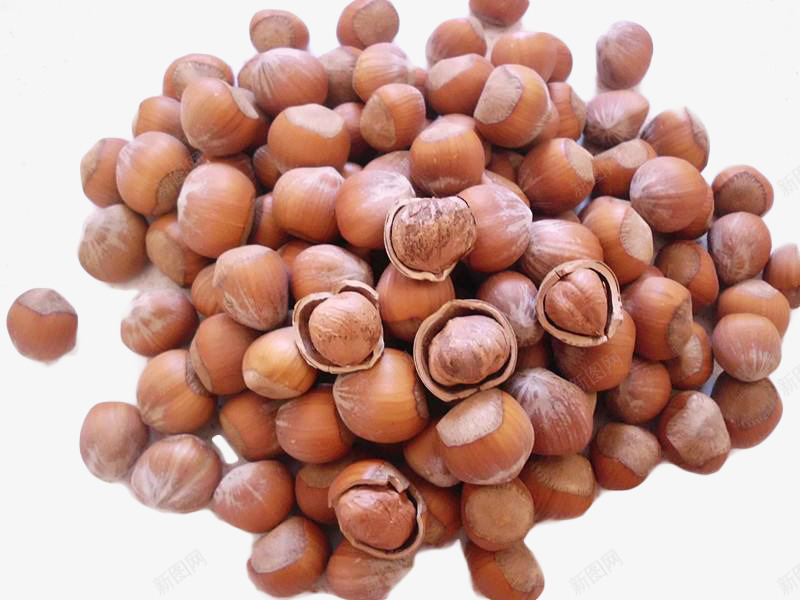 天然榛子仁png免抠素材_新图网 https://ixintu.com 坚果 天然 榛子仁 食品