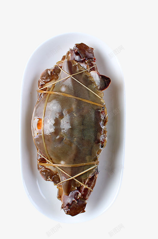 碗里的梭子蟹png免抠素材_新图网 https://ixintu.com png图片素材 产品实物 免费png元素 免费png素材 梭子蟹 海螃蟹 海鲜 白色瓷碗 绿色食品 野生蟹