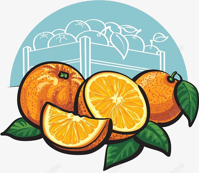 好看的手绘大贡柑png免抠素材_新图网 https://ixintu.com 卡通版 手绘 新鲜 橘黄色 水果 贡柑 酸甜