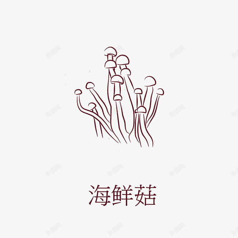 手绘线稿海鲜菇png免抠素材_新图网 https://ixintu.com 卡通手绘 海洋食品 海鲜菇 生鲜手绘 线稿图