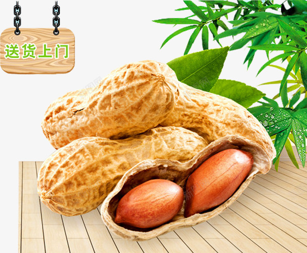 花生米花生壳png免抠素材_新图网 https://ixintu.com 传统美食 干果 干货 炒货 竹子 花生 花生仁 花生壳 花生米 花生酥 食品 餐饮美食