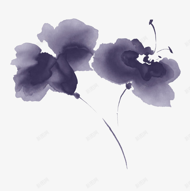 水墨画花卉png免抠素材_新图网 https://ixintu.com 两株花朵 墨迹 牵牛花 绘画艺术 黑色
