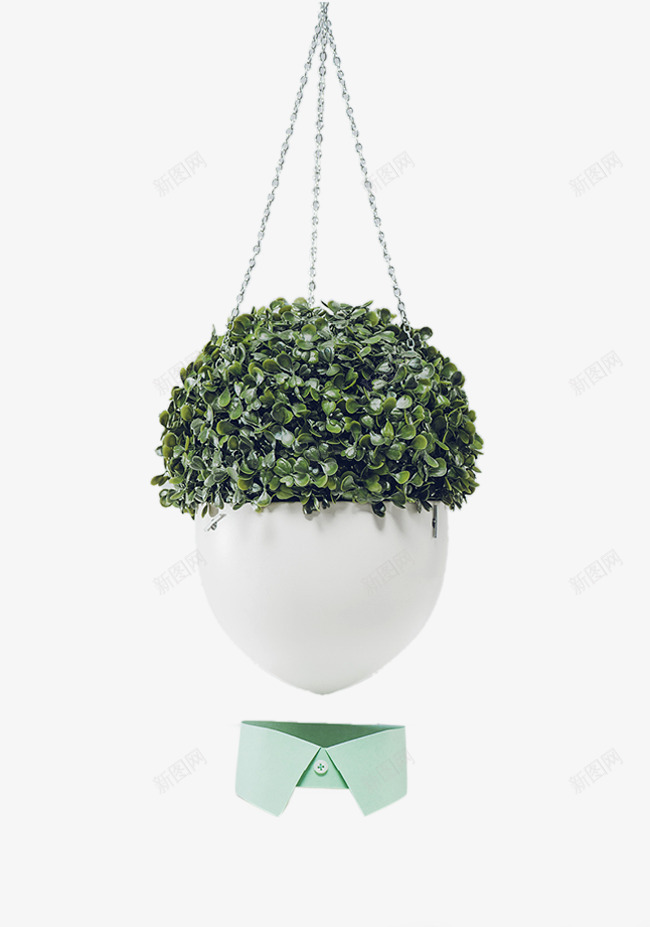 花头爆炸头先生png免抠素材_新图网 https://ixintu.com 吊帘 形象 形象素材 衬衣领