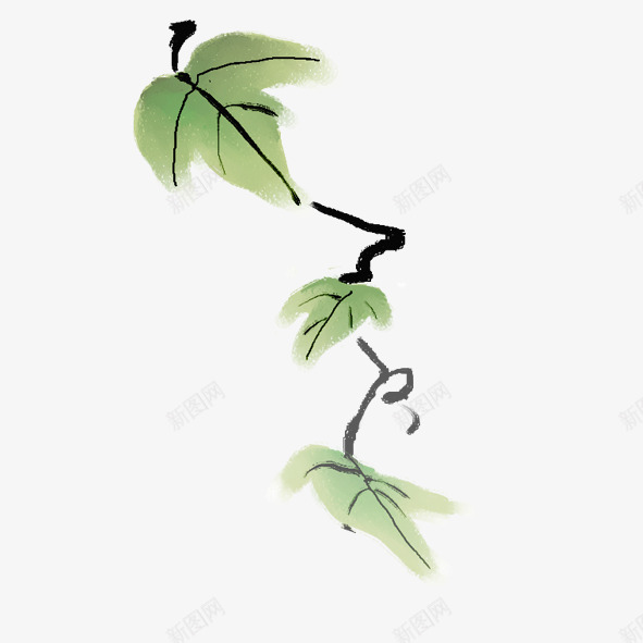 葡萄枝叶psd免抠素材_新图网 https://ixintu.com 叶子 手绘 葡萄枝叶