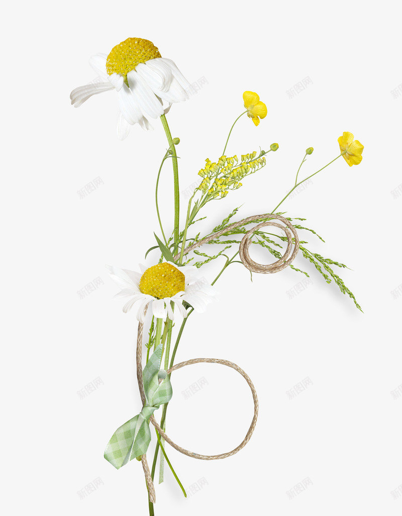 装饰清新白色小花花枝png免抠素材_新图网 https://ixintu.com 卡通 卡通图片 卡通小清新 卡通小清新图片 小清新图案 小花 清新 白色 花枝 装饰 装饰图片