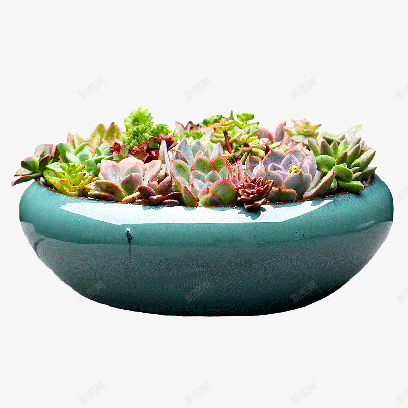 拼盘陶瓷花盆栽png免抠素材_新图网 https://ixintu.com 多肉植物花盆 多肉花盆 简约个性创意 粗陶绿植