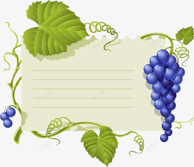 葡萄边框png免抠素材_新图网 https://ixintu.com 叶子 文案边框 植物 水果 紫葡萄 线条 绿叶 绿色 葡萄 藤蔓 边框