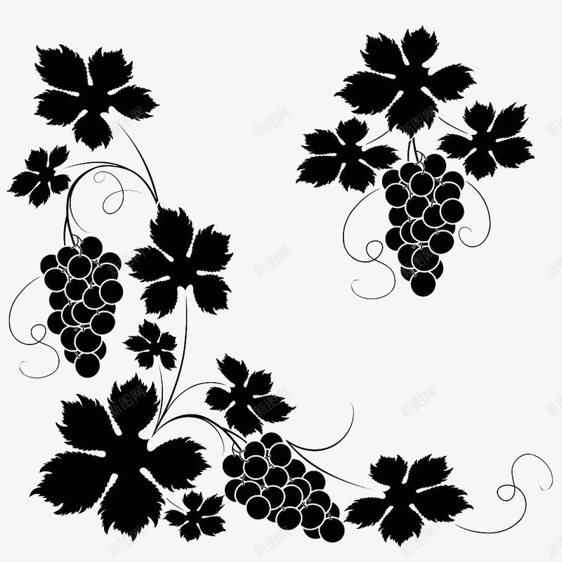 黑色手绘扁平化葡萄图标png_新图网 https://ixintu.com 叶子 夏黑葡萄 扁平化 果实 水果 葡萄 藤蔓 食物 黑加仑 黑色手绘