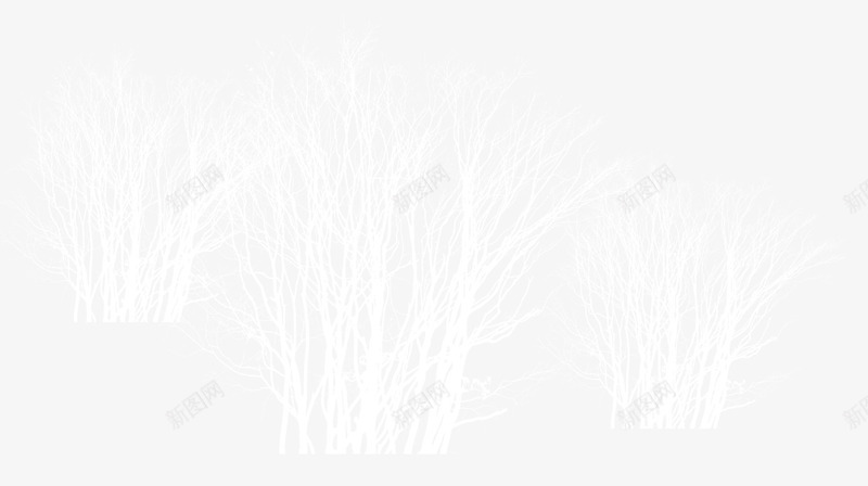 雪白的枝根png免抠素材_新图网 https://ixintu.com 下雪 冬天 枝根 雪 雪白