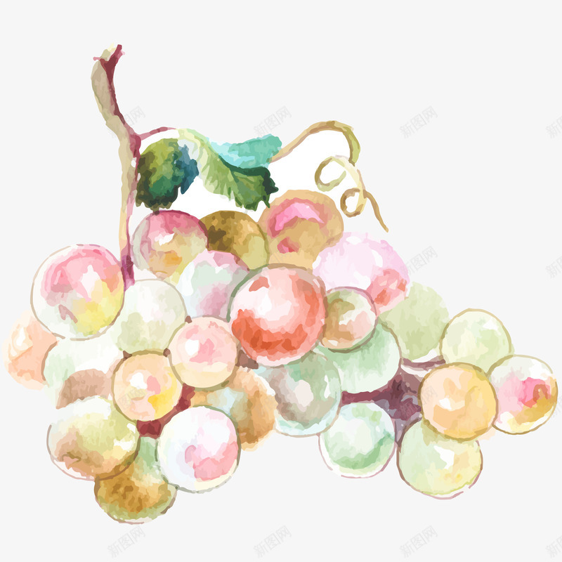 新鲜葡萄插画矢量图ai免抠素材_新图网 https://ixintu.com 免抠PNG 新鲜水果 新鲜葡萄矢量插画 果实 维生素C 营养 葡萄 蔬果 矢量图