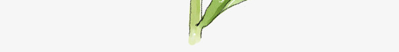 油菜花瓣png免抠素材_新图网 https://ixintu.com 免抠PNG 卡通 手绘 油菜花 油菜花瓣 花瓣 黄色小花