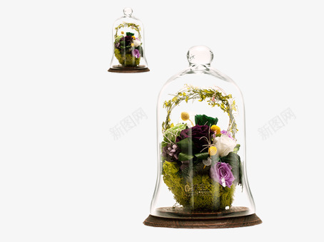 瓶中花psd免抠素材_新图网 https://ixintu.com 玻璃 瓶子 花朵