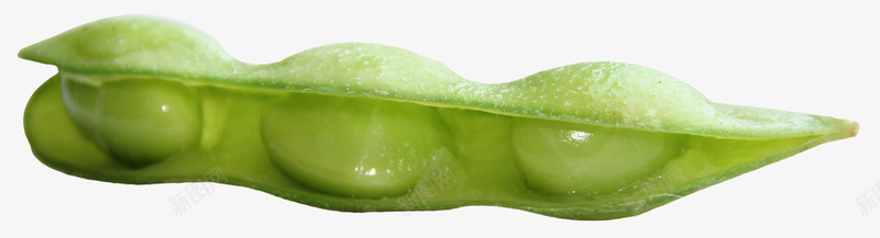 新鲜的毛豆png免抠素材_新图网 https://ixintu.com 新鲜 新鲜毛豆 新鲜的 绿色 绿色的 绿色的毛豆