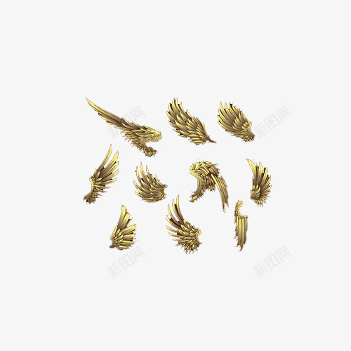 金属质感翅膀汇总png免抠素材_新图网 https://ixintu.com 翅膀装饰 装饰团 质感 金色翅膀 鸟