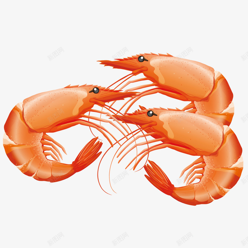 手绘美味小龙虾png免抠素材_新图网 https://ixintu.com PNG免抠 PNG免抠素材 手绘 手绘龙虾 新鲜 海鲜 简笔画龙虾 线稿小龙虾 美味 美食 食材 食物 龙虾