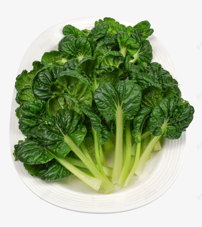 杭州盆菜叶png免抠素材_新图网 https://ixintu.com 健康食品 实物 新鲜菜品 新鲜蔬菜 杭州盆菜叶 特写 盆装菜叶 绿色 菜叶子 食材 香菇青菜