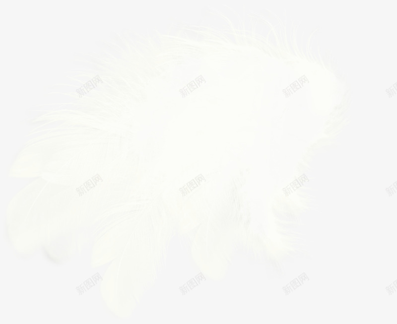 漂亮创意翅膀png免抠素材_新图网 https://ixintu.com 创意翅膀 漂亮翅膀 白色翅膀 翅膀
