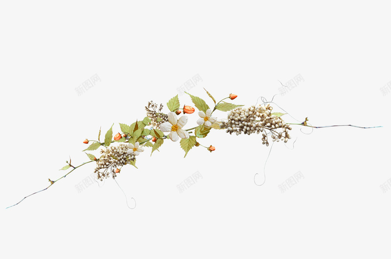 漂亮花边花冠png免抠素材_新图网 https://ixintu.com 小巧 绿色 美丽 花冠 花边 草叶 装饰图案