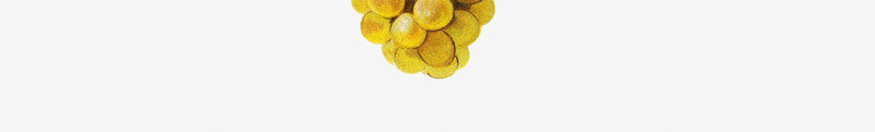 生动创意美食葡萄叶藤图png免抠素材_新图网 https://ixintu.com 大葡萄叶 植物 水果葡萄 葡萄叶藤 葡萄酒 观赏植物 黄葡萄