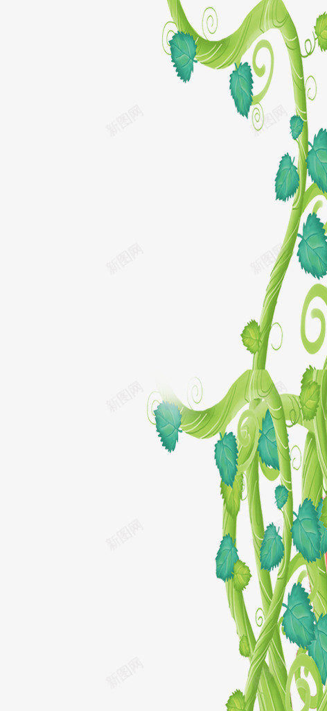 一根葡萄藤png免抠素材_新图网 https://ixintu.com png元素 植物 绿色 葡萄藤