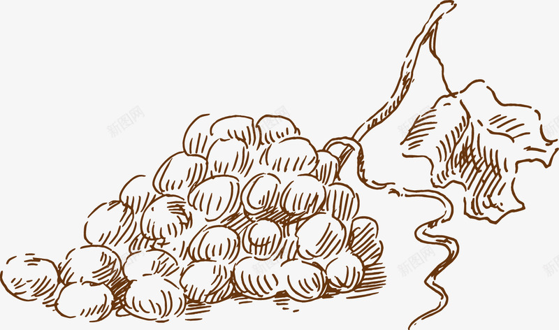 素描葡萄png免抠素材_新图网 https://ixintu.com 一串 卡通 叶子 简笔 素描 线条 葡萄 黑色