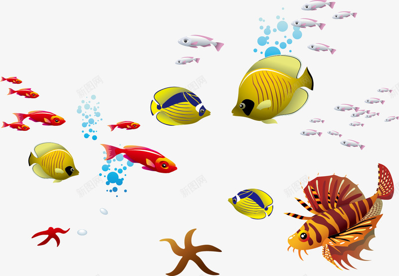 海底的漂亮海水鱼png免抠素材_新图网 https://ixintu.com 水泡 海底的漂亮海水鱼 海底素材 漂亮海水鱼 矢量素材