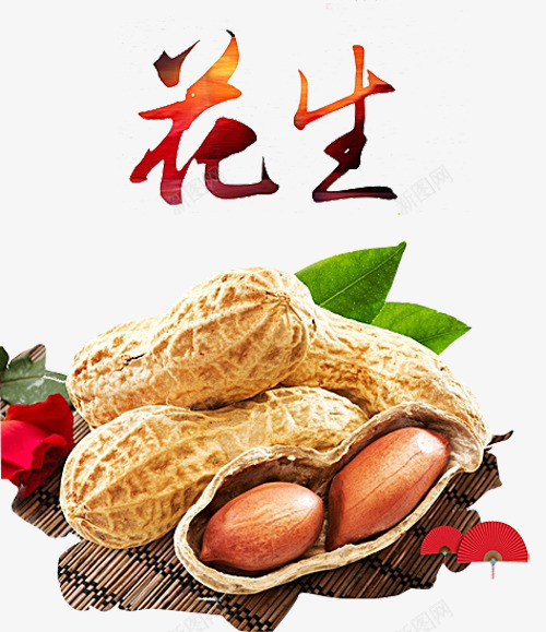 花生米花生壳png免抠素材_新图网 https://ixintu.com 传统美食 干果 炒货 芝麻 花生 花生仁 花生叶子 花生壳 花生米 花生酥 酥 食品 餐饮美食