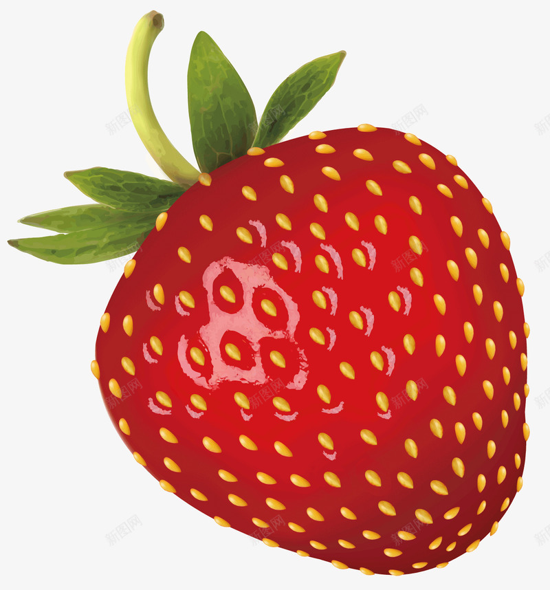 一个红色的草莓矢量图ai免抠素材_新图网 https://ixintu.com 吃的 红色的水果 绿色的叶子 食品 食物 黄色的籽 矢量图
