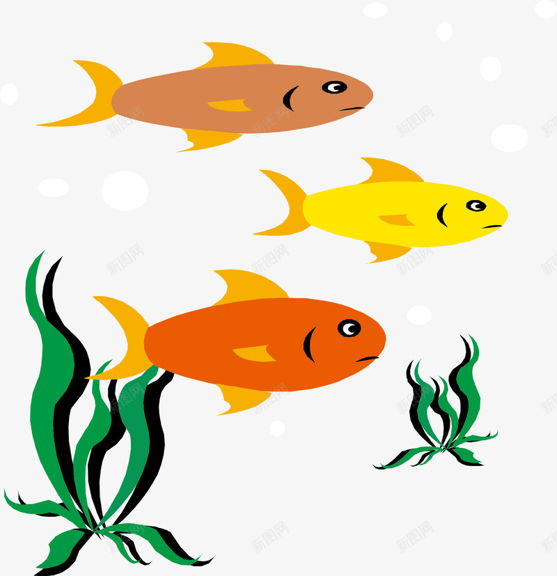 观赏鱼苗和水草png免抠素材_新图网 https://ixintu.com 水草 玻璃鱼缸 观赏 鱼苗