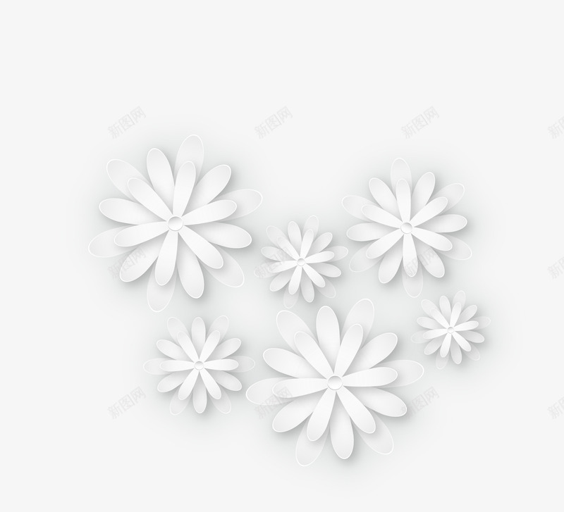白色小雏菊花朵装饰png免抠素材_新图网 https://ixintu.com daisy 小雏菊 白色小雏菊 矢量小雏菊 花朵装饰