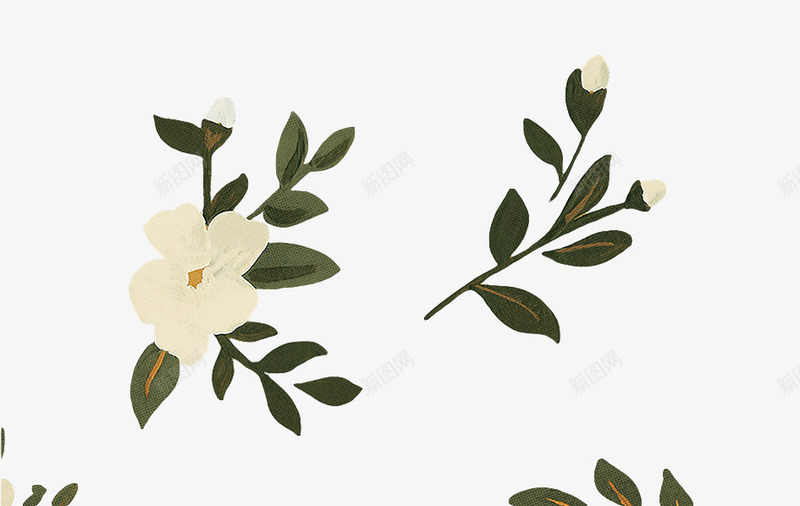 清新小白花png免抠素材_新图网 https://ixintu.com 清新 白花 素材