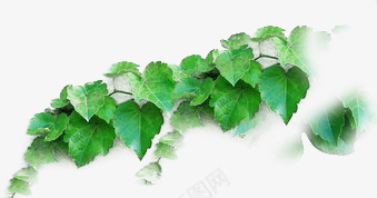 春天模糊树叶装饰png免抠素材_新图网 https://ixintu.com 春天 树叶 模糊 装饰