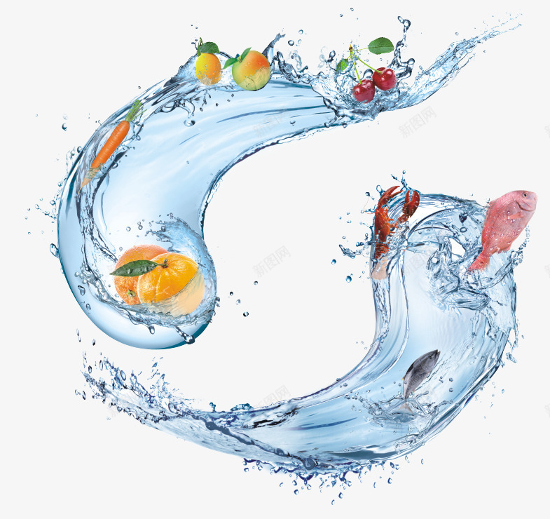 水果和水花png免抠素材_新图网 https://ixintu.com 大虾 水果 水花 矢量装饰 装饰 鱼