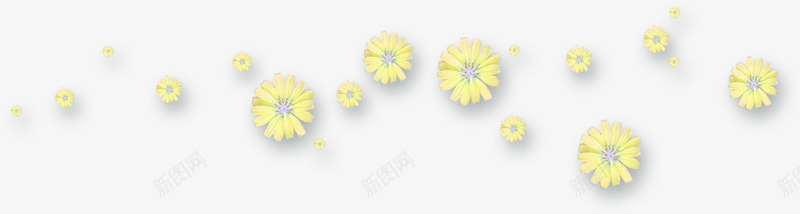 漂浮的菊花png免抠素材_新图网 https://ixintu.com 唯美 清新 菊花 黄色