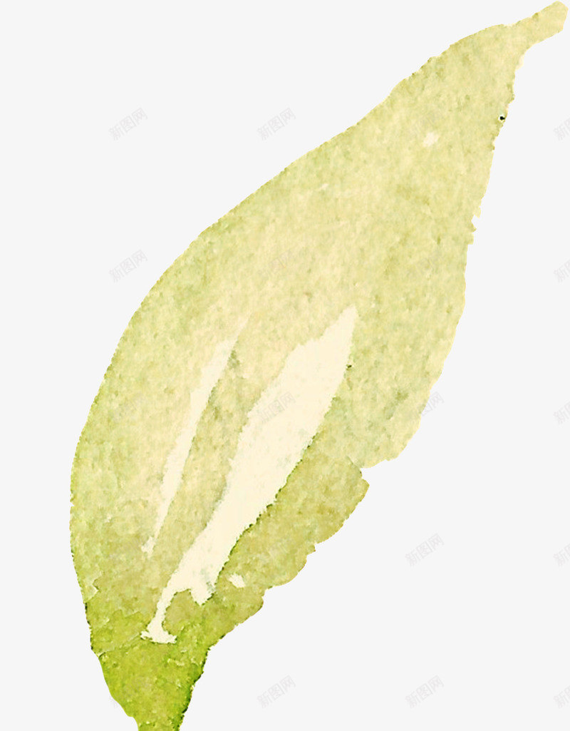 一片模糊水彩墨叶子png免抠素材_新图网 https://ixintu.com 一片叶子 嫩叶 手绘 树叶