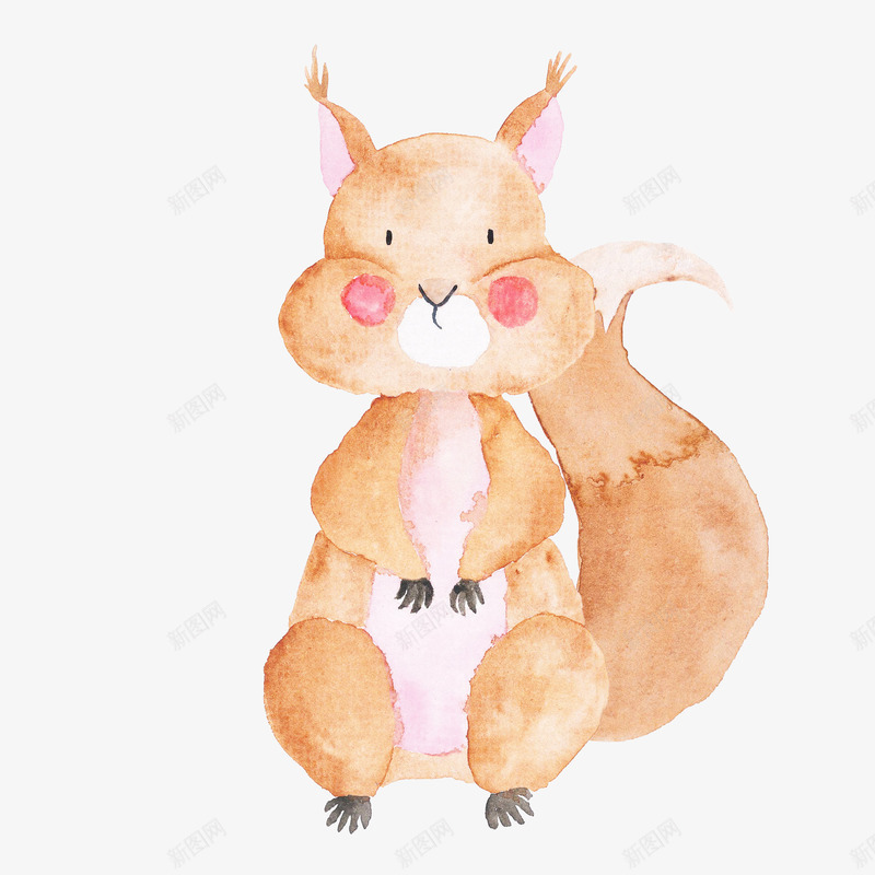 水彩松鼠png免抠素材_新图网 https://ixintu.com 儿童画画 儿童绘本 动物插画 卡通动物漫画 卡通松鼠 可爱 插画 水彩松鼠 贺卡