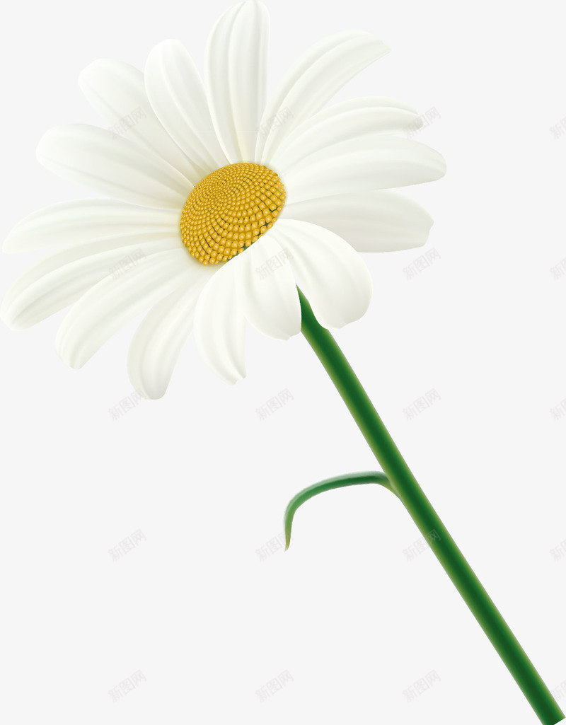 菊花装饰矢量图ai免抠素材_新图网 https://ixintu.com 菊花 菊花装饰 菊花装饰设计矢量 装饰设计矢量 设计 矢量图