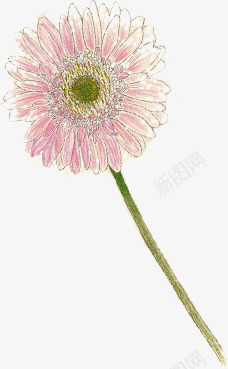 手绘彩绘菊花装饰png免抠素材_新图网 https://ixintu.com 彩绘 手绘 菊花 装饰