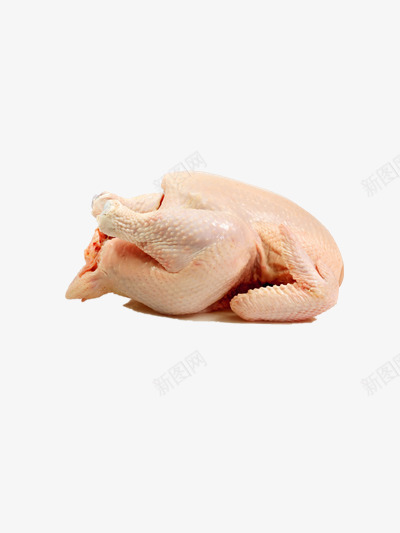 鸡png免抠素材_新图网 https://ixintu.com 生鲜 生鸡肉 肉制品 肉类 食物