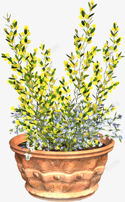 盆栽菊花png免抠素材_新图网 https://ixintu.com 手绘 盆栽 花园 菊花