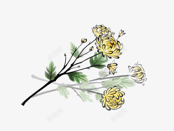 手绘菊花psd免抠素材_新图网 https://ixintu.com 手绘菊花 菊花 重阳花 黄色