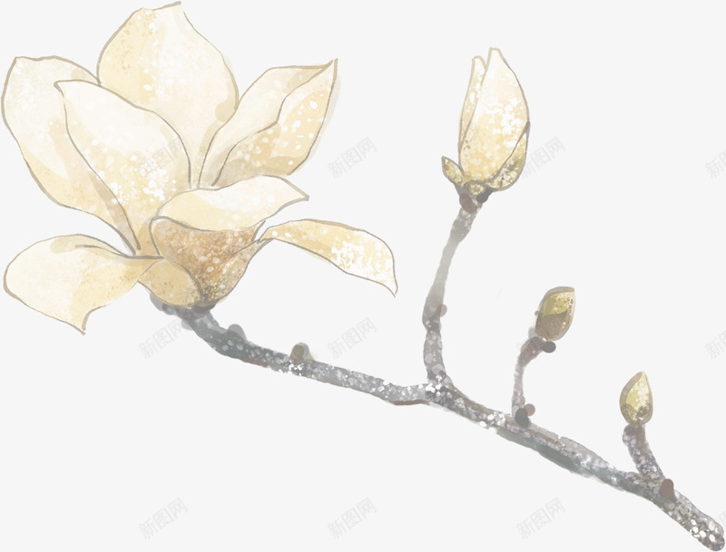 手绘花卉个性画报png免抠素材_新图网 https://ixintu.com 个性 画报 花卉