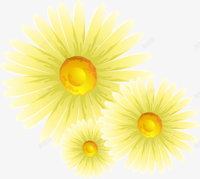 菊花矢量图ai免抠素材_新图网 https://ixintu.com 花 花朵 菊花 黄色 矢量图
