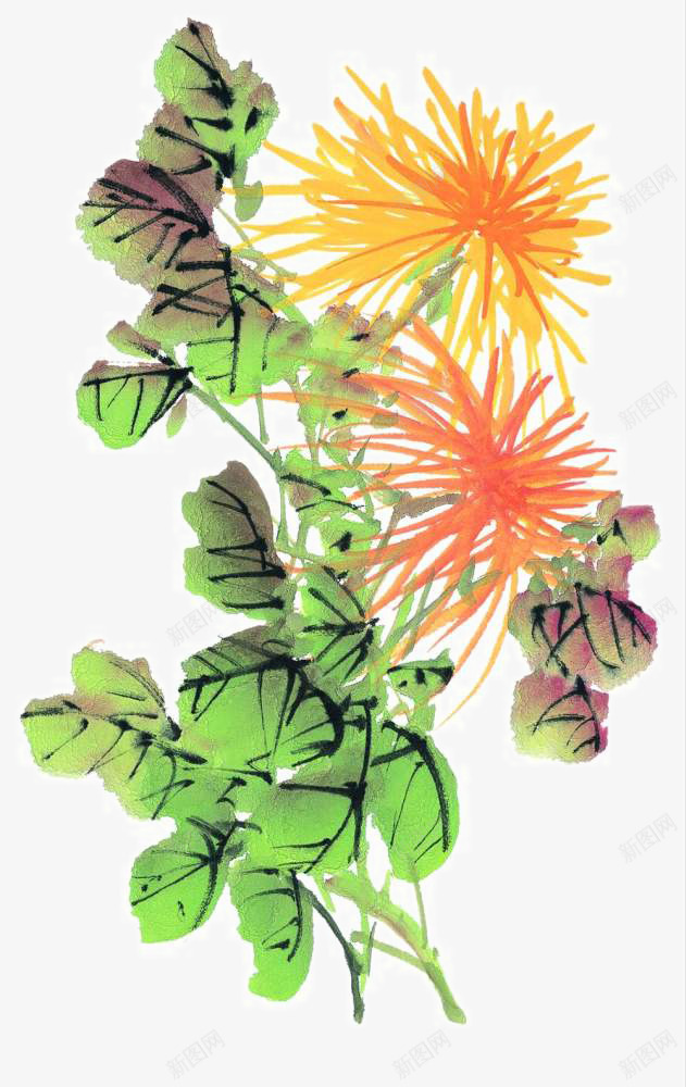 写意菊花png免抠素材_新图网 https://ixintu.com 写意 国画花卉 国粹 宣纸画 手绘花草 手绘装饰 水墨国画