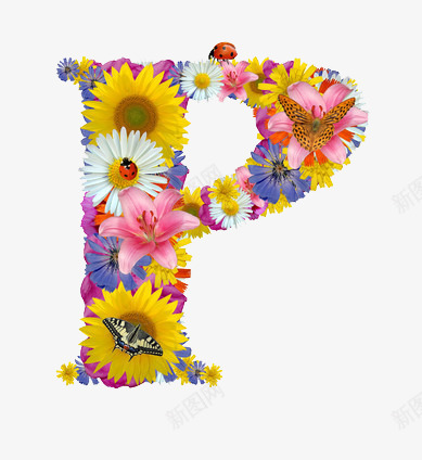 各种鲜花组成的字母Ppng免抠素材_新图网 https://ixintu.com 春天 菊花 蝴蝶