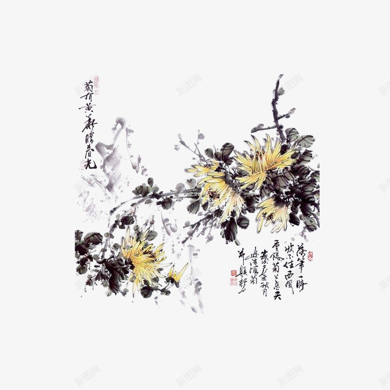 彩色传统画菊花png免抠素材_新图网 https://ixintu.com 国画 国画菊花 彩色传统画 手绘 水墨画 水墨菊花 菊花